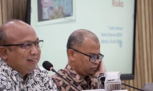 EKONOM INDEF